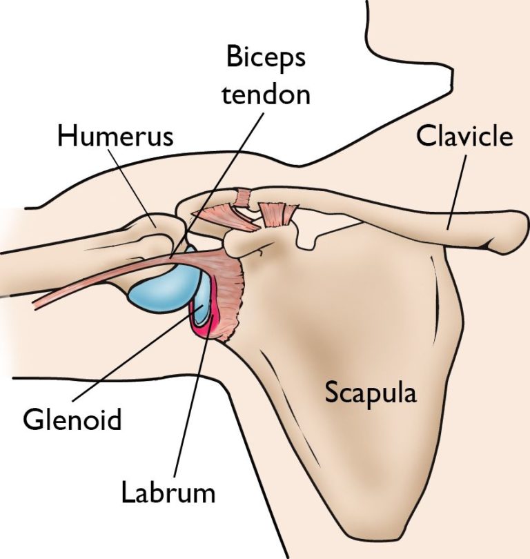 labrum-injury-repair-surgery-seaside-surgery-center